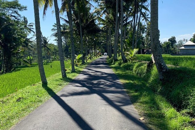 Individual Bali Day Trip with Private Driver and Free WiFi - The biggest issue: Bali traffic