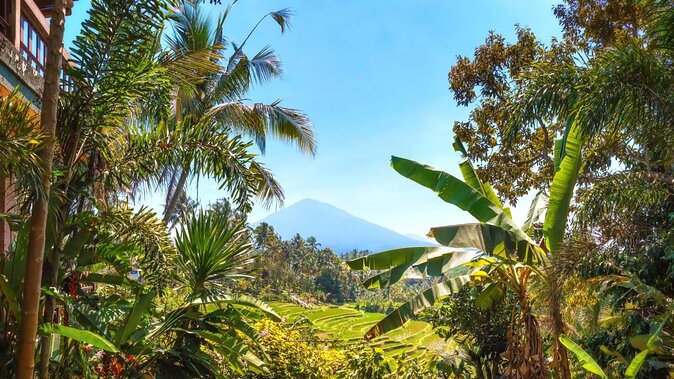 Jatiluwih Batukaru Mountain Nature's Best Tour - Key points at a glance