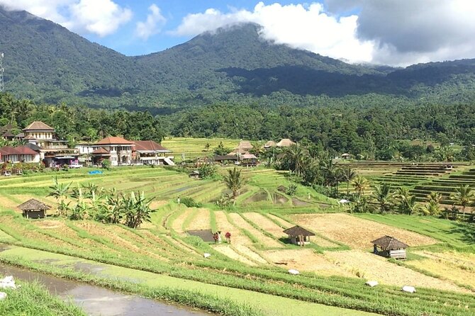 Jatiluwih Batukaru Mountain Nature's Best Tour - Guides, group size, and personal service