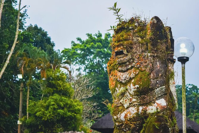 Jatiluwih Batukaru Mountain Nature's Best Tour - Who should book this Batukaru day trip?