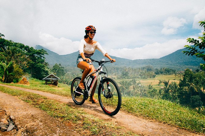 Jatiluwih in detail (1 h. e-bike tour in the rice terraces) - Key points to know before booking
