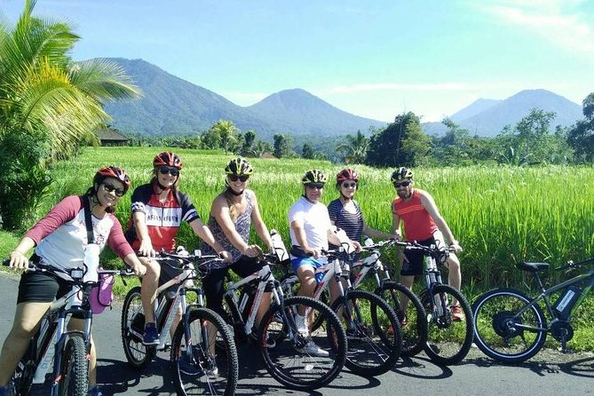 Jatiluwih in detail (1 h. e-bike tour in the rice terraces) - Bamboo, jungle, and streams between the rice fields