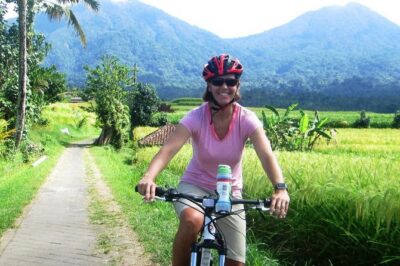 Jatiluwih in detail (1 h. e-bike tour in the rice terraces)