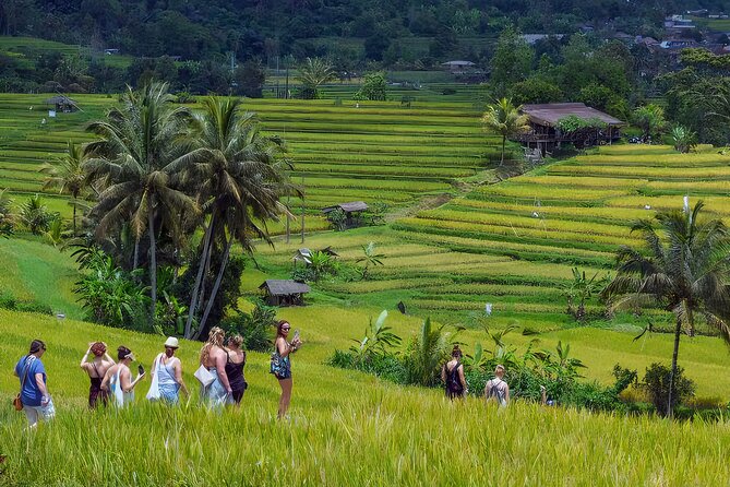 Jatiluwih Spiritual Journey of Melukat with Rice Terrace View - Sangeh Monkey Forest begins the day with temples and trees