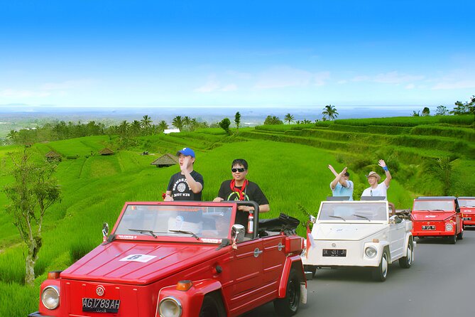 Jatiluwih VW Safari Bali Tour - Volkswagen Classic Car Trip - Taman Ayun, Mengwi’s royal temple