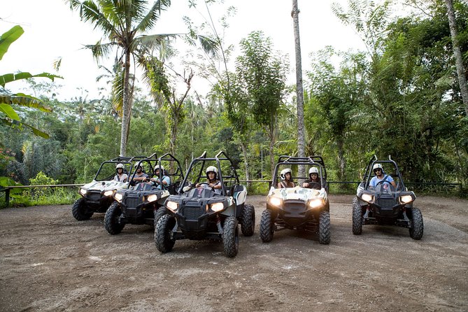 Jungle Buggy Adventure and Ubud Tour - An 8:00 am start with your own Bali driver
