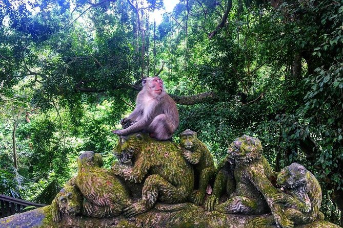 Jungle Swing - Volcano - Water Temple - Monkey Forest and Waterfall Tour - Your driver matters on a long Bali road day
