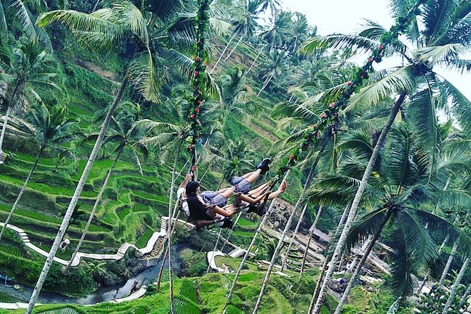 Jungle Swing & White Water Rafting Experience - The 8:30 am pickup and private ride