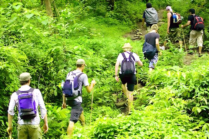 Jungle Trekking and Tamblingan Lake Canoeing in Bali Rainforest - Walking through the Bali rainforest