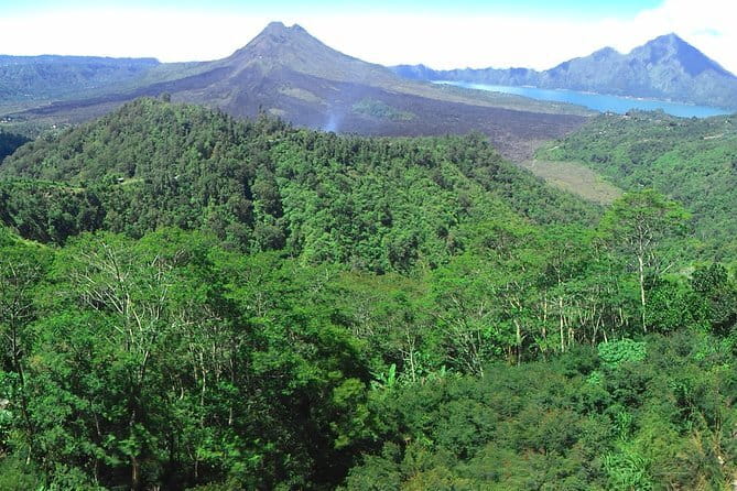 Jungle Trekking at Mt. Batukaru, scenic Waterfall & village life - Homemade lunch is one of the day’s strongest moments