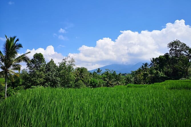 Jungle Trekking at Mt. Batukaru, scenic Waterfall & village life - Luhur Batukaru Temple sets the tone