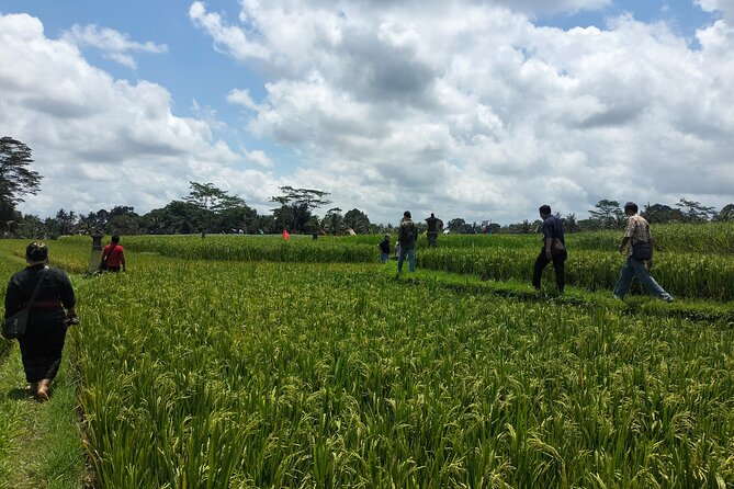 Keliki Village Tour And Rice Field Walk Including Lunch Or Dinner - Key points about the Keliki walk
