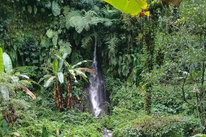 Keliki Village Tour And Rice Field Walk Including Lunch Or Dinner - Leaving Ubud behind at Bintang Supermarket