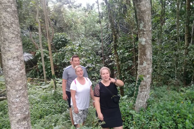 Keliki Village Tour And Rice Field Walk Including Lunch Or Dinner - Rice fields, farmers, and Bali’s water system