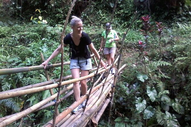 Keliki Village Tour And Rice Field Walk Including Lunch Or Dinner - The Indonesian meal in an artist’s workshop