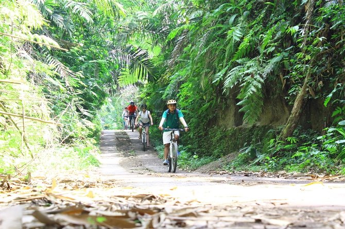 Kintamani Cultural and Nature Cycling Tour ( Manual Bike ) - Starting the manual bike ride in Abuan