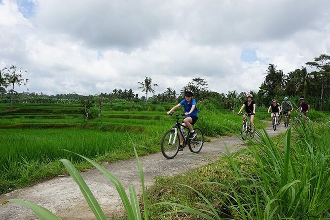 Kintamani Cultural and Nature Cycling Tour ( Manual Bike ) - Taro village and Gunung Raung Temple