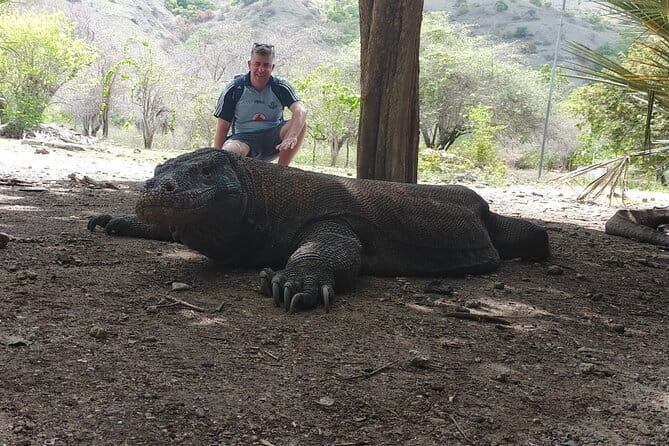 Komodo Island Adventure from Bali (Day Trip) - Snorkeling at Manta Point