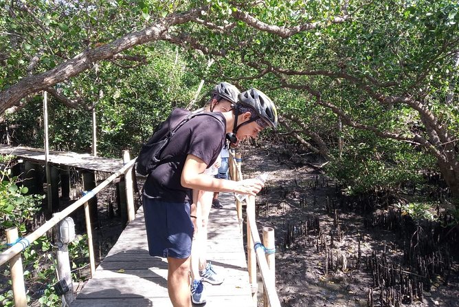 Kuta Beach eBike Private Tour - Turtle conservation and the environmental theme