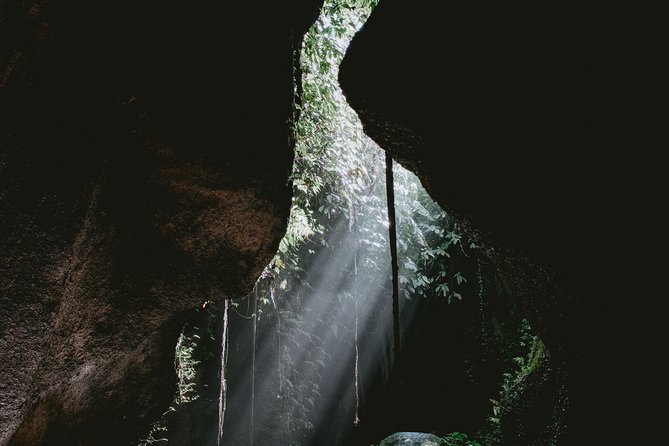 Lempuyang Gates of Heaven, Tirta Gangga Temple Swim & Jungle Waterfalls - Who should book this tour