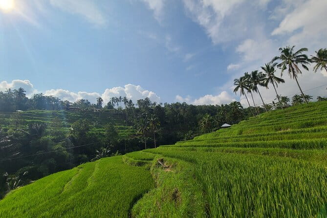 Lemukih Hidden Trekking Waterslide Sekumpul and Fiji Waterfall - What the $25.60 price really includes