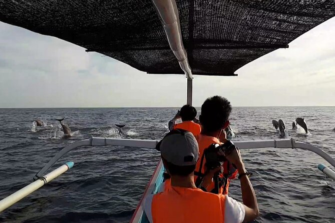 Lovina Sunrise Dolphin with option snorkeling and waterfall - The waterfall route needs clarification