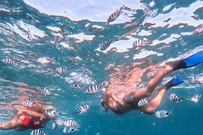 Lovina Sunrise Dolphin with option snorkeling and waterfall - The private transport advantage