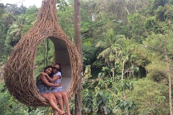 Magic Of Ubud Temple Swing And Waterfall Private Guided Tour - Tegalalang Rice Terrace and the extra cost of lunch