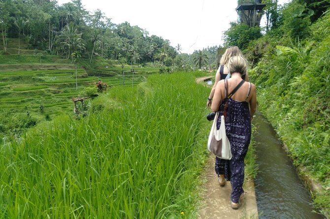 Magic Of Ubud Temple Swing And Waterfall Private Guided Tour - Tirta Empul and the sacred spring