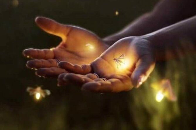 Magical Village Tour & Private Dinner with Fireflies in Bali - Why the fireflies are the real attraction