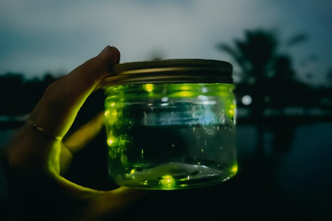 Magical Village Tour & Private Dinner with Fireflies in Bali - A private tour for couples and families