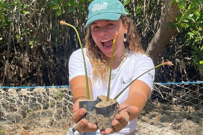 Mangrove Reforestation and Exploration around the Nusa Islands - A conservation day with your hands in the mud