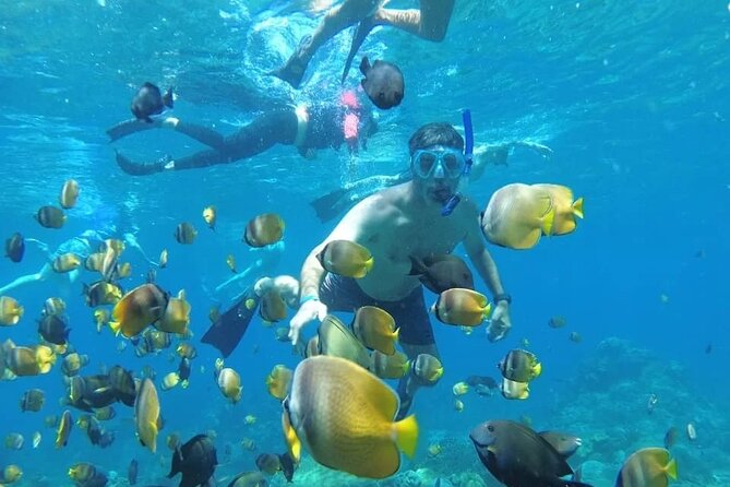 Manta Bay Snorkeling Adventure with Kelingking Beach Nusa Penida All Inclusive - From Jimbaran to Sanur before sunrise