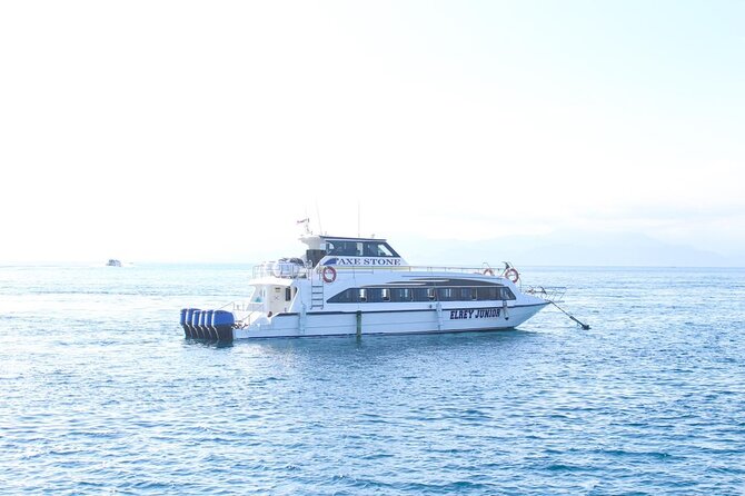 Manta Bay Snorkeling Adventure with Kelingking Beach Nusa Penida All Inclusive - What the $125.65 price really covers