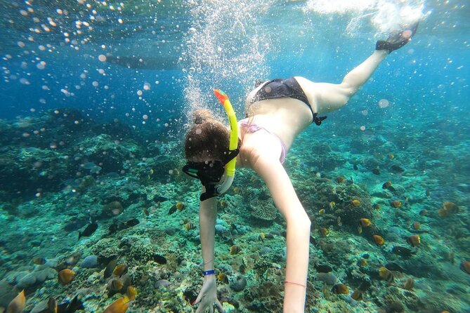 Manta Bay Snorkeling Adventure with Kelingking Beach Nusa Penida All Inclusive - Manta Bay, Crystal Bay, or Gamat Bay