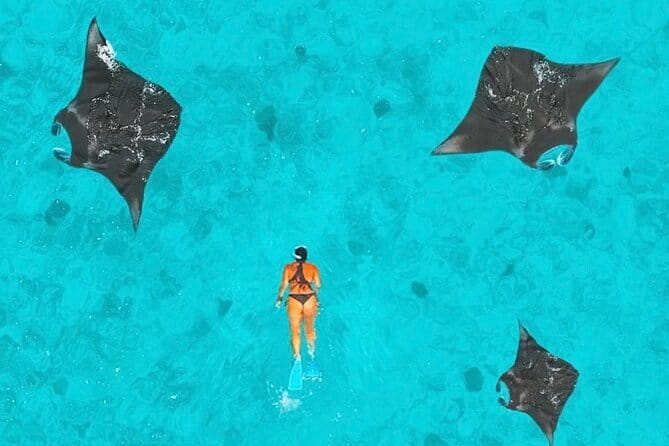 Manta Point Snorkeling & West Nusa Penida Island Day Tour - Manta Point gives this day its purpose