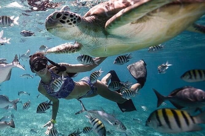 Manta Point Snorkeling & West Nusa Penida Island Day Tour - Broken Beach completes the western coast circuit