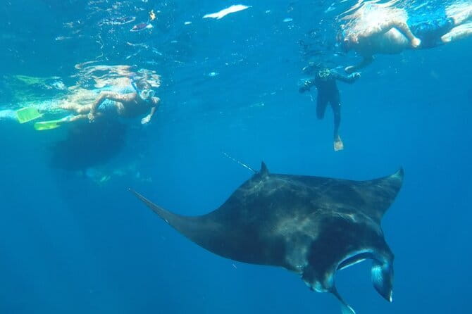 Manta Point Snorkeling & West Nusa Penida Island Day Tour - The guides can turn a busy day into a personal one