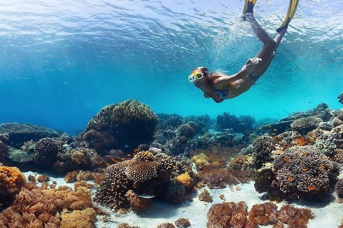 Manta Point Snorkeling & West Nusa Penida Island Day Tour - What happens at the two snorkeling stops