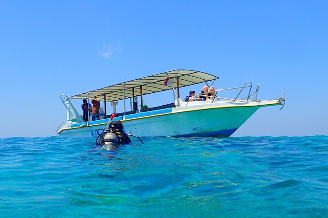 Menjangan island for Certified Scuba Divers full day boat trip, 2 dives + lunch - Starting at Bali Diving Academy in Pemuteran