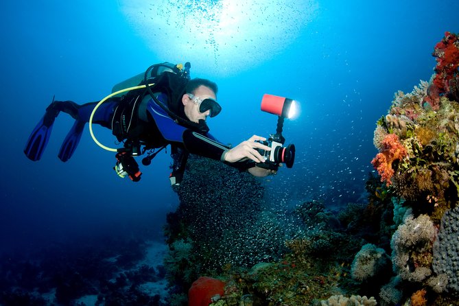 Menjangan island for Certified Scuba Divers full day boat trip, 2 dives + lunch - What the two underwater sessions are like