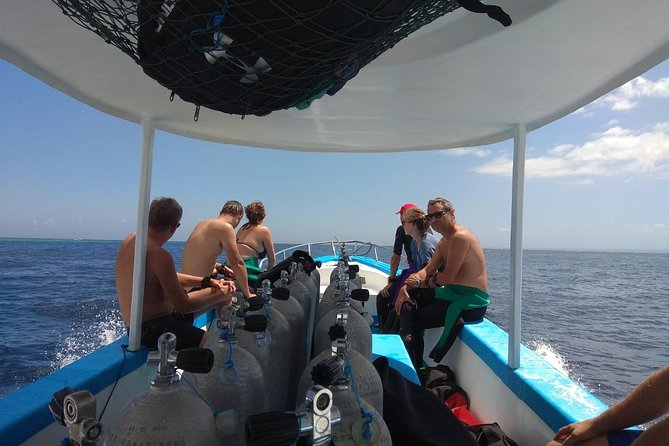 Menjangan island snorkeling full day boat trip - The 40-minute boat trip to Menjangan