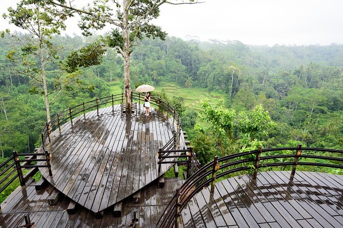 Monkey Forest, Ubud, Waterfall and Rice Terrace - Ubud Art Market and Celuk Village