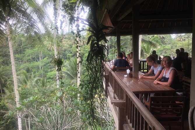 Monkey Forest, Ubud, Waterfall and Rice Terrace - Pickup, vehicle, and the shape of the day