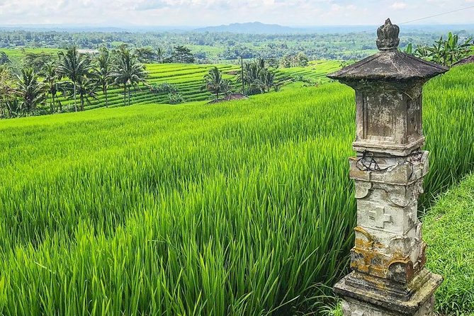 More Complete: Discover Bali In 3 Days Private Tour Package - Why the private guide matters here