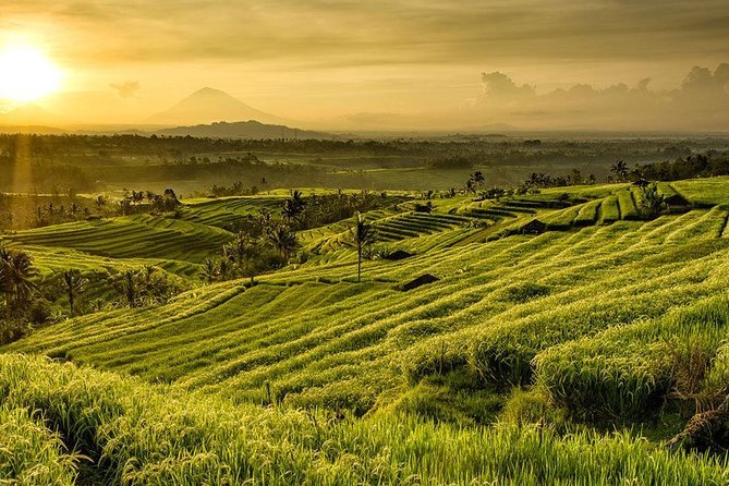 More Complete: Discover Bali In 3 Days Private Tour Package - Who should book this three-day route?