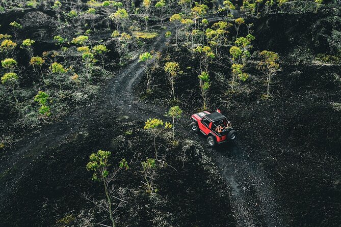 Mount Batur 4WD Jeep, Breakfast and Hot Spring All Inclusive - Reaching sunrise point by Jeep