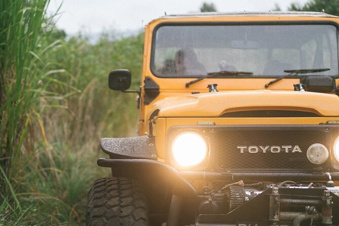 Mount Batur Black Lava Jeep Tour with Pickup - The service you can expect from the drivers