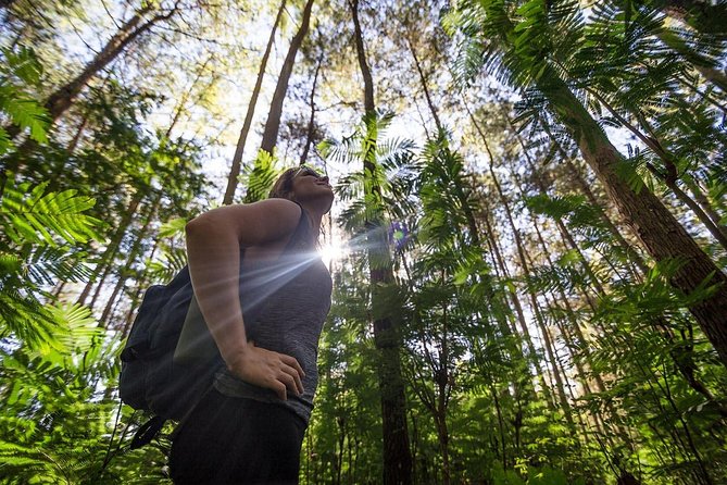 Mount Batur Sunrise Hike with Breakfast - Weather, crowds, and the mountain’s rough edges