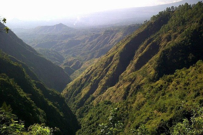 Mount Batur Sunrise Trekking and Rice Terrace Adventure - Tegalalang Rice Terrace adds a softer second act